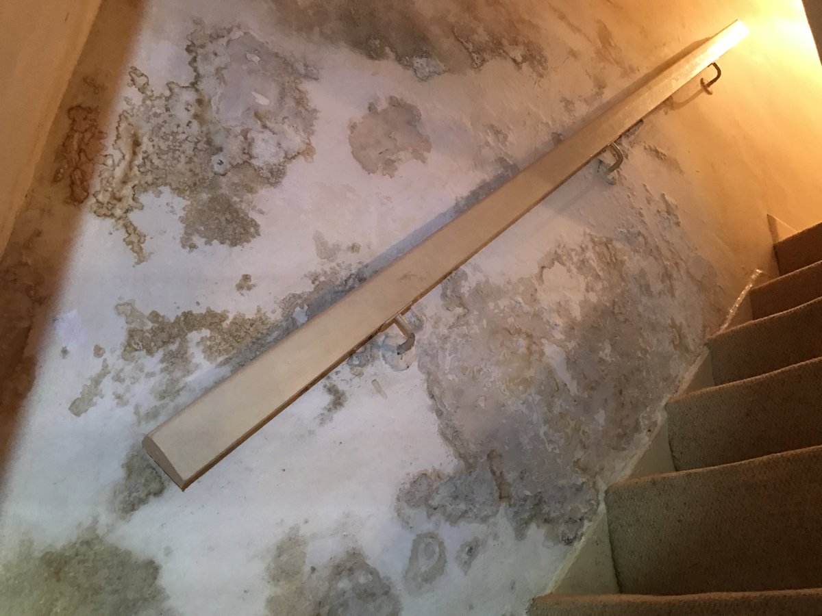Dryabode's tweet image. #Roofsurveys #dampsurveys Damp and roof survey several sources of damp and water ingress diagnosed and schedule of works provided.