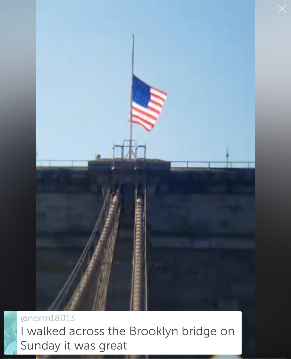 suntastic77's tweet photo. Brooklyn Bridge #ScopeViews exclusively on @TheEditorTV 🎥 w/ @TimmyDavidNYC #Travel 🇺🇸 https://t.co/F8Q9e2PmYn
