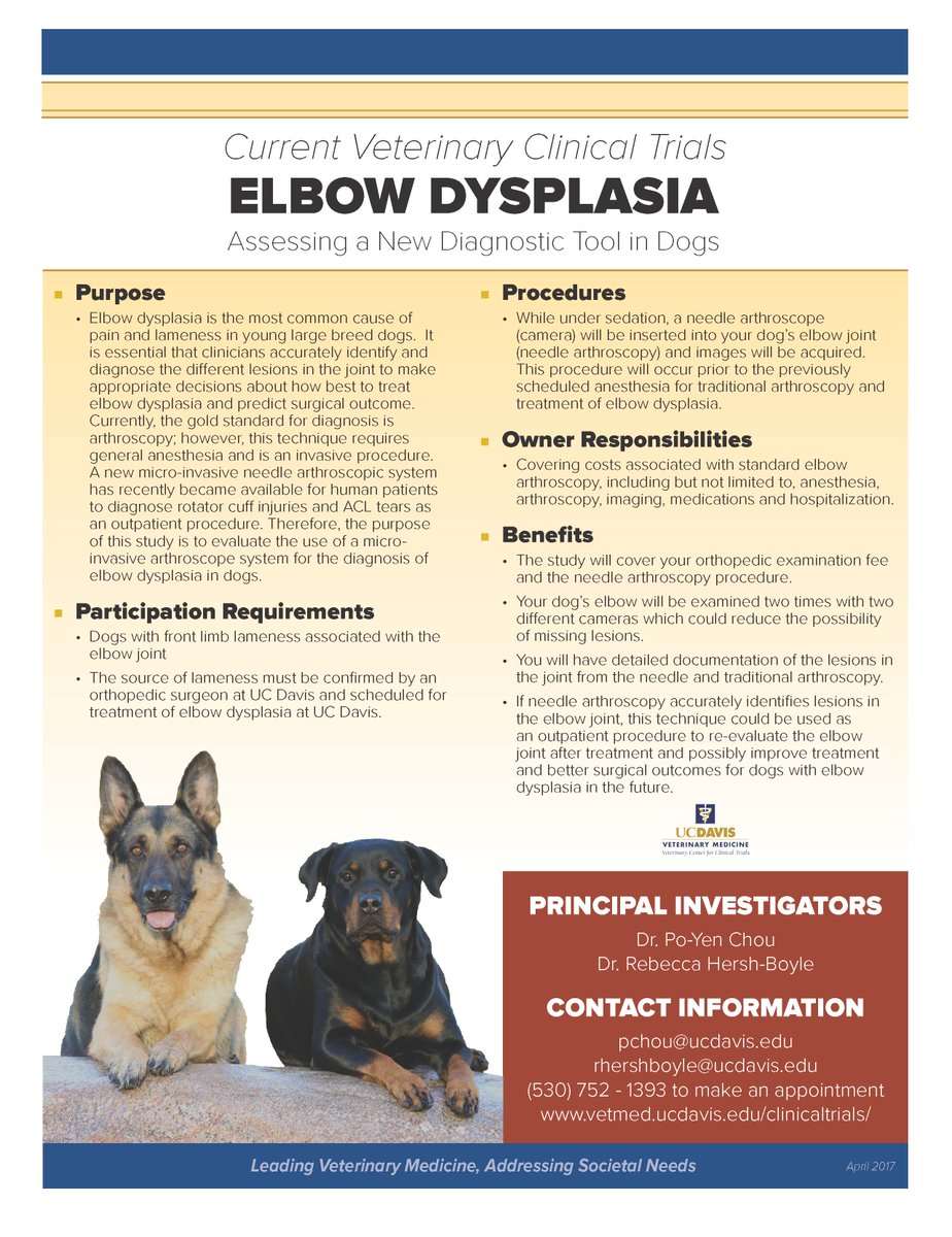 how to treat elbow dysplasia in dogs