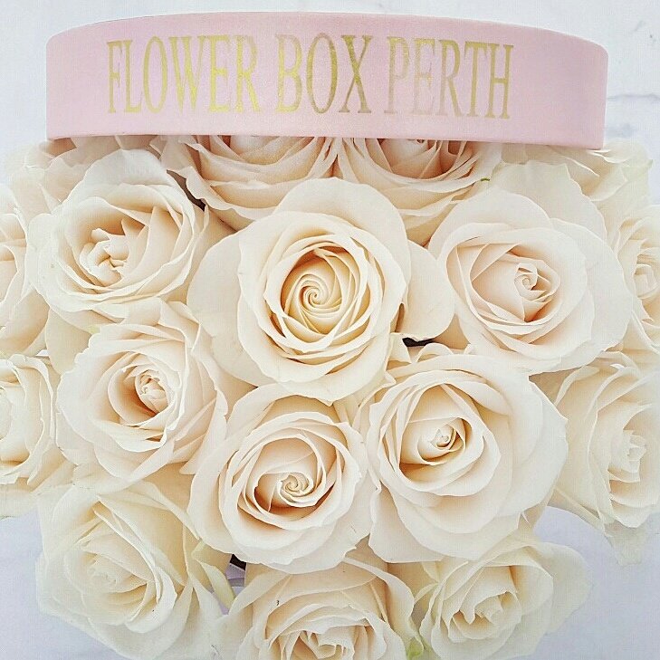 FlowerBoxPerth's tweet photo. MOTHER'S DAY is next month and we are taking orders!! Dont miss out as roses are limited 🌹
https://t.co/pUPnU0oZEH
#FlowerBoxPerth #Perth https://t.co/A6wY8vk0Dm