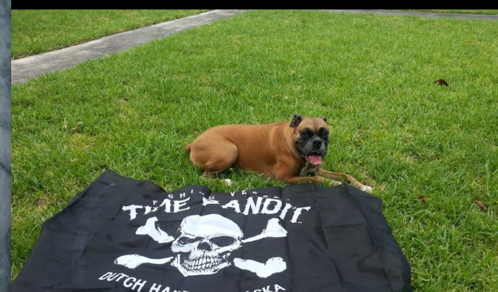 sheenstir3's tweet photo. #CatchCrew Dante ready for tonight's #DeadliestCatch..who else is out there?? https://t.co/9d2rITb4f2