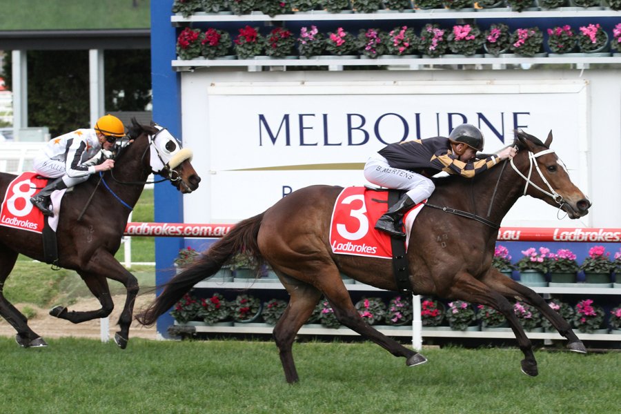 GrandSyndicates's tweet photo. Bargain buys Tykiato & Khutulun well placed in $270k & $170k Vobis races Sat!
Purchased for $24k & now with over $500k in bank!
#TeamGrand https://t.co/kkaab4irHP