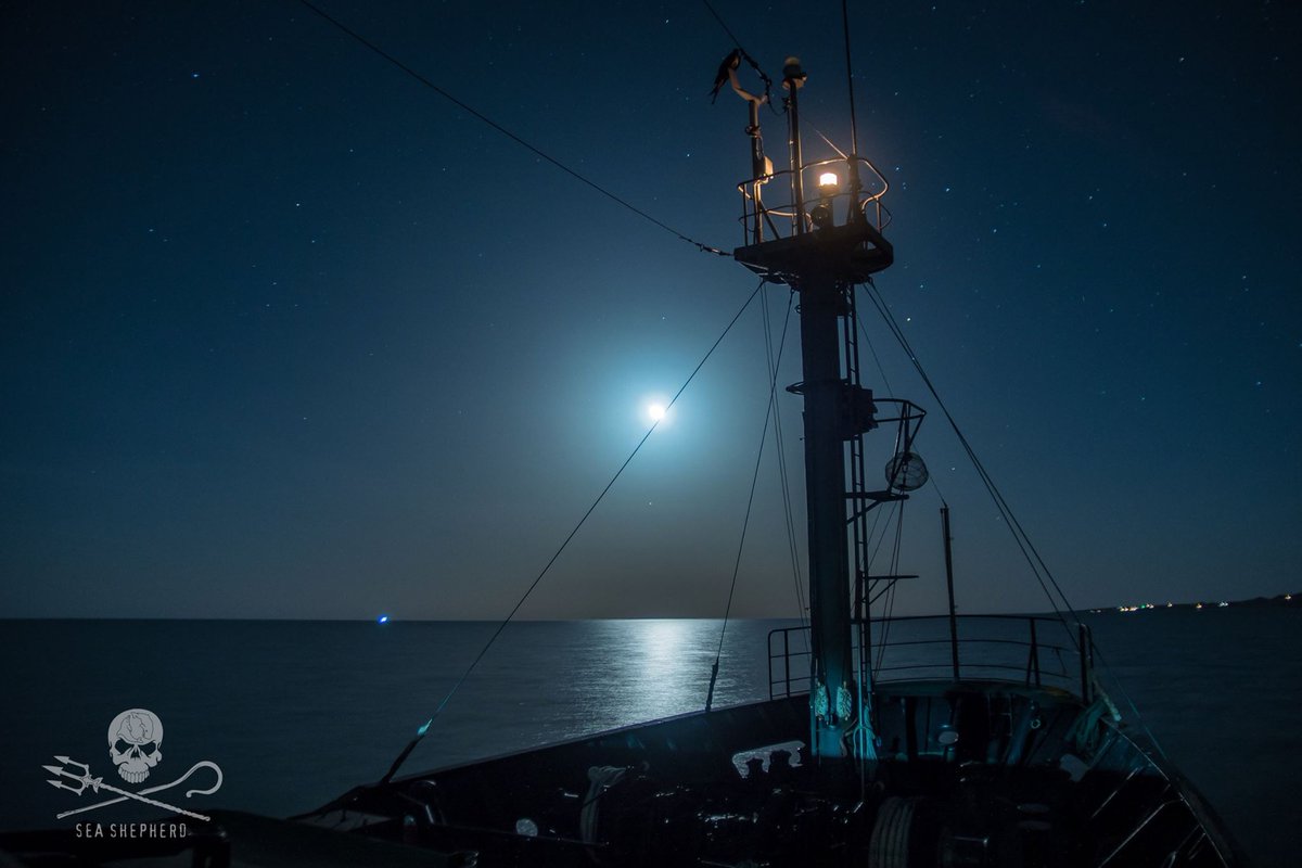 seashepherd's tweet image. A starry night on board the @MVSamSimon in the Gulf of Mexico as part of #OpMilagroIII. #SeaShepherd #SSCS @SeaShepherdSSCS