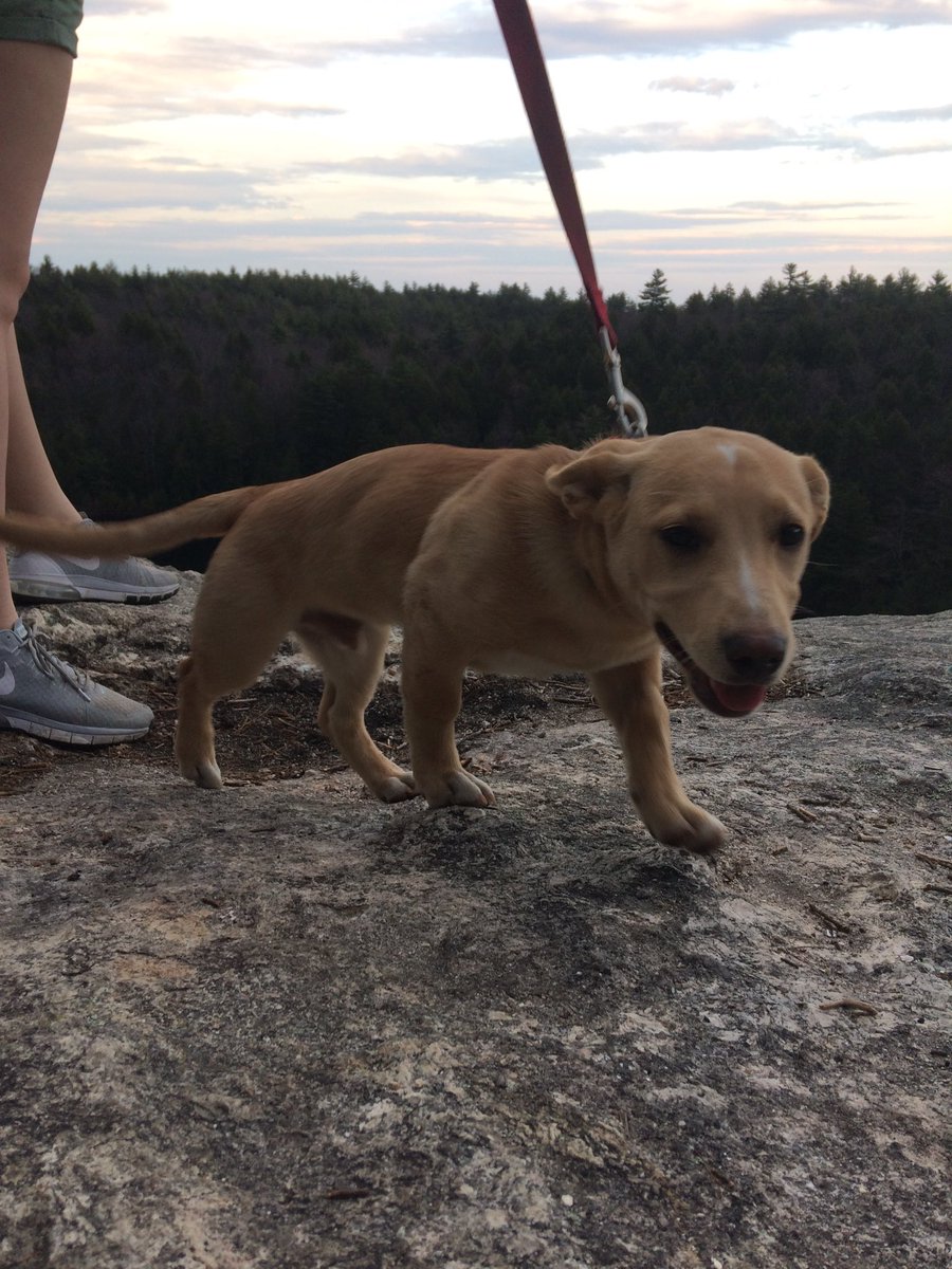 bssoxpatscelts's tweet image. 