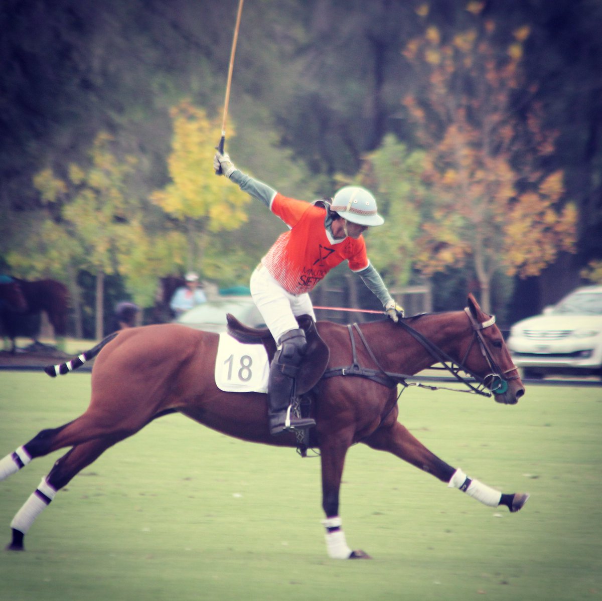 Polo Argentino tweet media