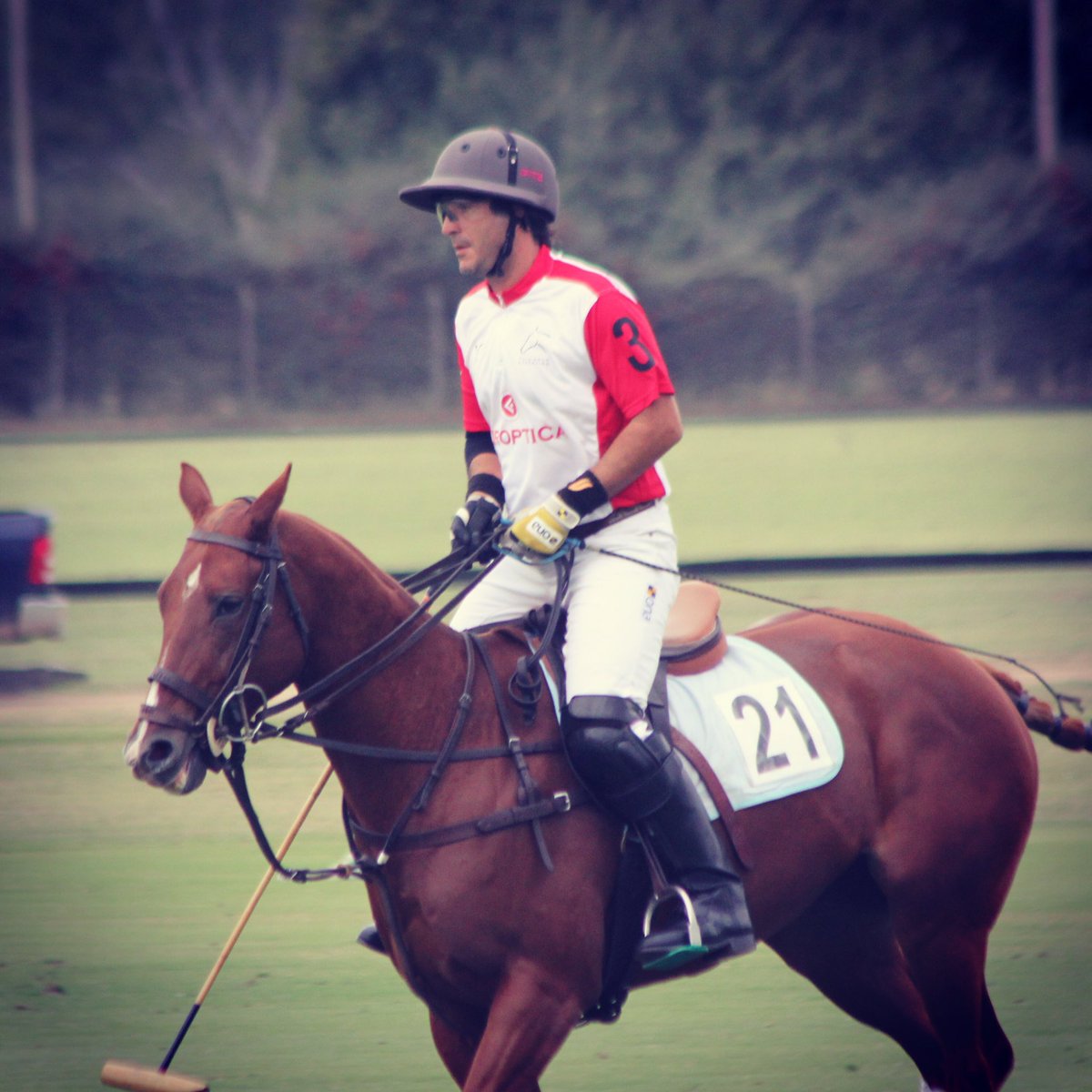Polo Argentino tweet media