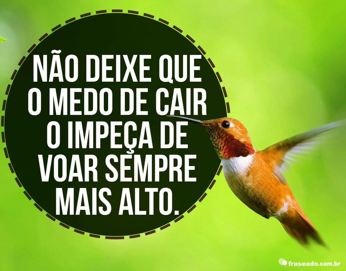 SiCastillo's tweet image. Vai sem medo, vai !!