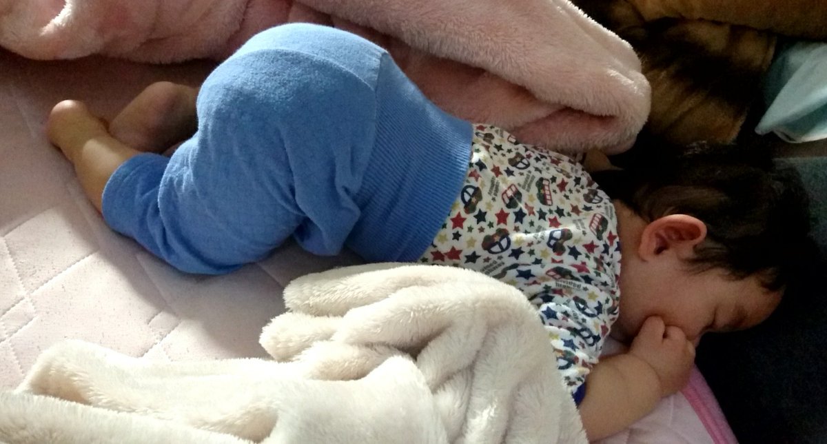 ひとみ 寝相が悪すぎて赤ちゃん布団だと落ちるからセミダブルにしても落ちる 今朝はお尻あげて変な寝方してたし 昨日は離乳食奪われて 取ると泣くから見守ってたらすごい楽しそうに食べて遊んでた 笑 ひとみ 寝相が悪すぎて赤ちゃん布団だと落ちるからセミダブルにしても落ちる 今朝はお尻あげて変な寝方してたし 昨日は離乳食奪われて 取ると泣くから見守ってたらすごい楽しそうに食べて遊んでた 笑