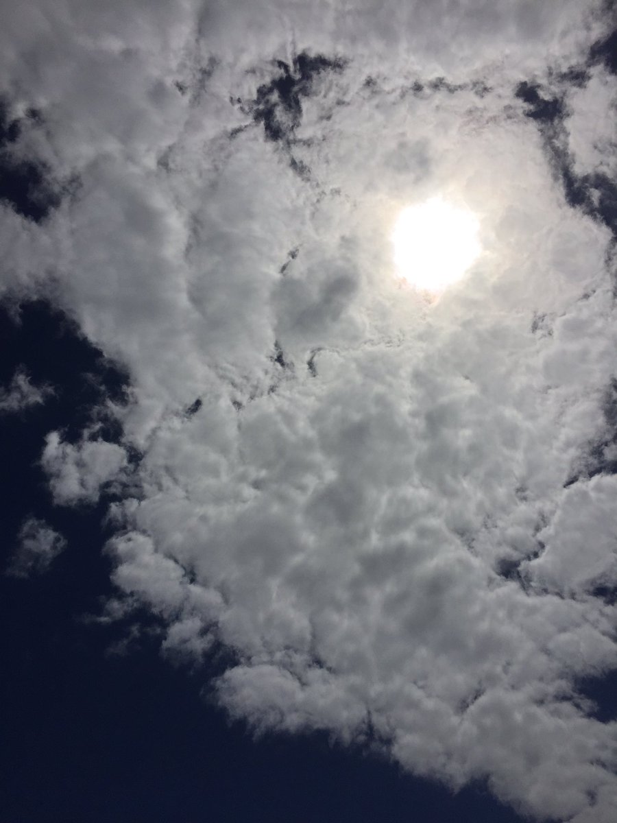 KathrynM101's tweet photo. {New} Blog Post: "Carving Out 'Here Comes the Sun' Space" https://t.co/JaDhT46BNd @910PubRel @RecipeRecords https://t.co/og1CjMBshT