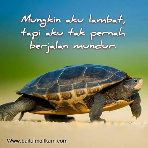 pace8293's tweet image. I Love INDONESIA...