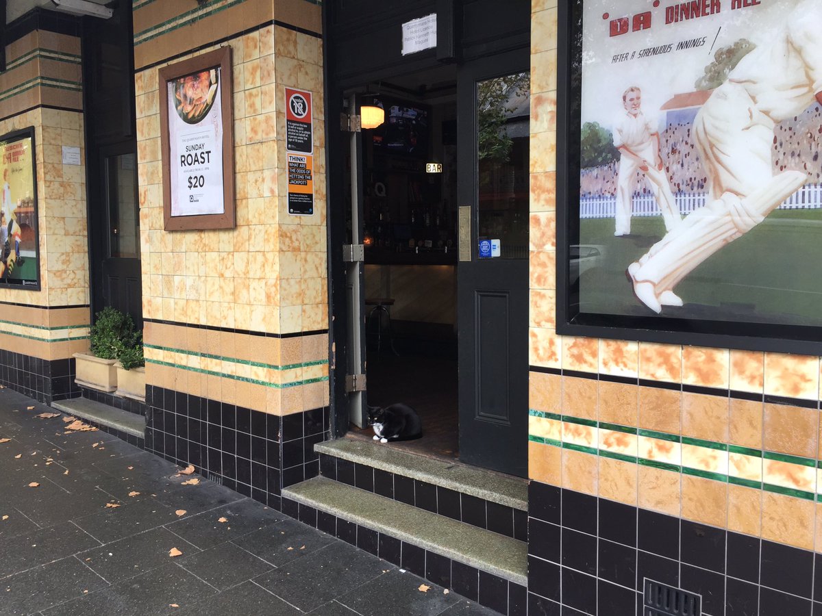 RyanAddinsall's tweet photo. Just waiting for a mate..... https://t.co/Nimo3BqpOO