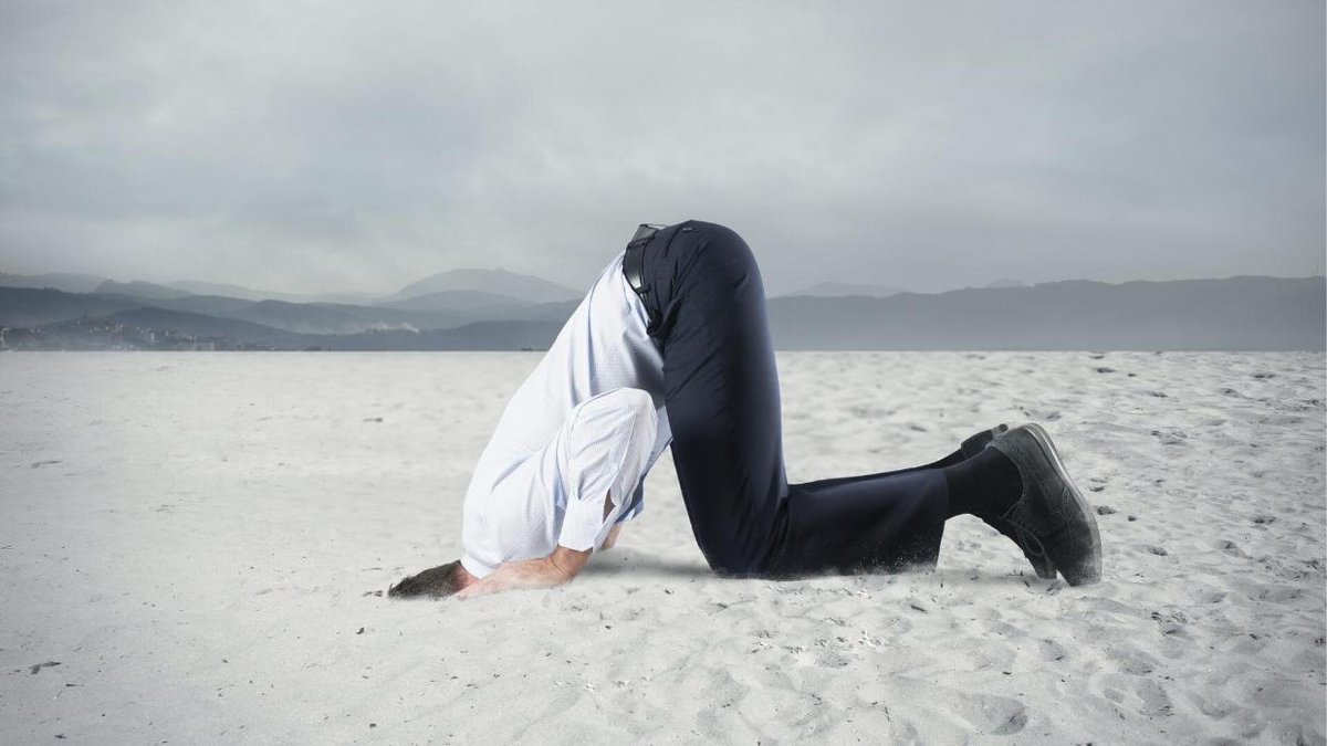 Buscemi IT Solutions tweet media