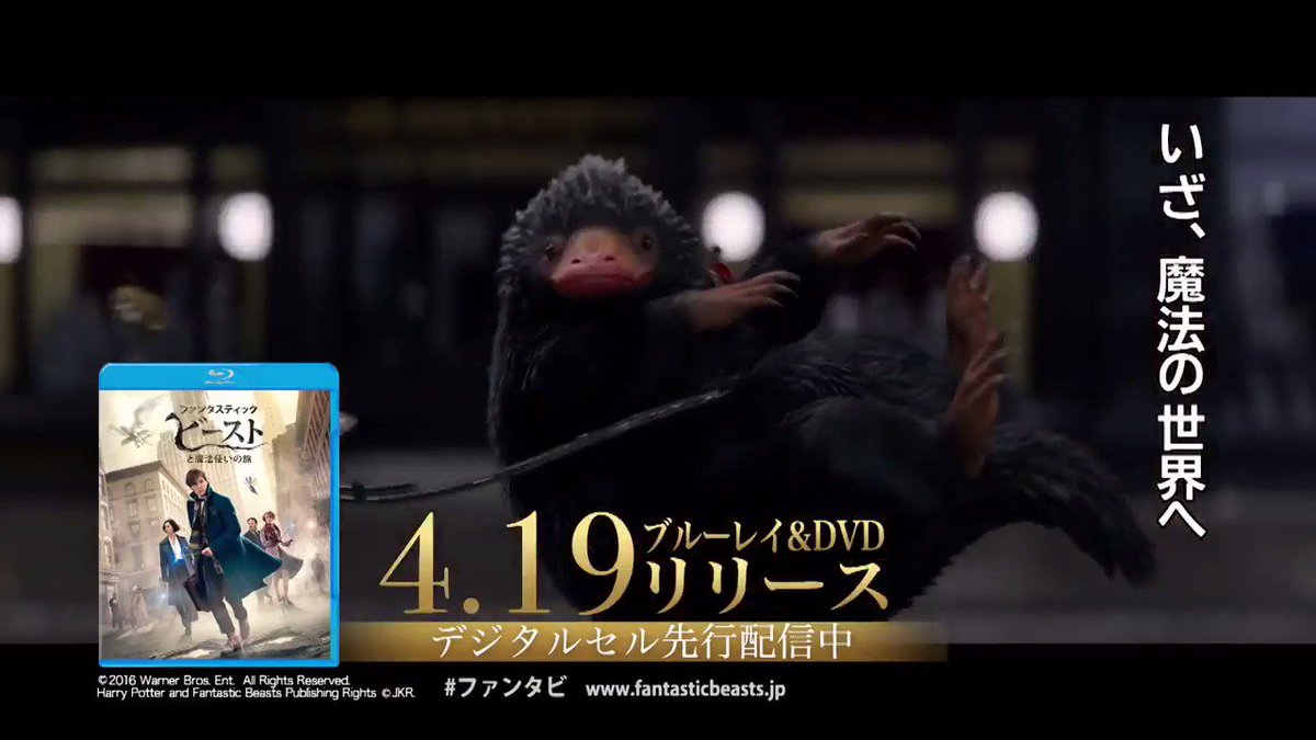 川上彩 お知らせ 本日よりソフトレンタル 発売開始の ファンタスティック ビーストと魔法使いの旅 にて ベアボーン家の養子のひとり チャスティティ ベアボーンの声を演らせて頂きました 憧れのシリーズに参加出来て感動でした ぜひお家でも 川上彩 お知らせ 本日よりソフトレンタル 発売開始の ファンタスティック ビーストと魔法使いの旅 にて ベアボーン家の養子のひとり チャスティティ ベアボーンの声を演らせて頂きました 憧れのシリーズに参加出来て感動でした ぜひお家でも