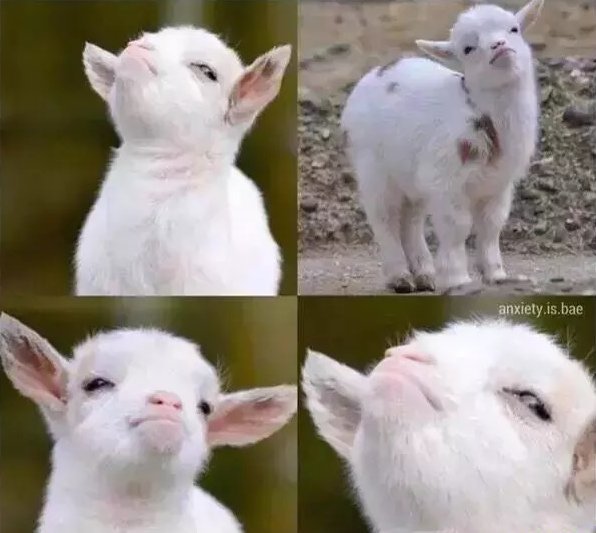 Cuando nos dicen que no pueden creer que Aparatos clasificó: