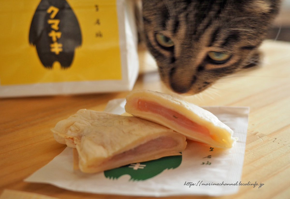 まりもチャンネル 津別町相生の名物 クマヤキ 桜あんシロクマ 中に桜あん入ってめっちゃ美味しい ﾓｸﾞﾓｸﾞ クマヤキ 桜 道の駅あいおい 津別 北海道グルメ 北海道スイーツ 北海道お土産