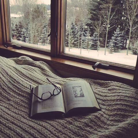 Ale_Meza__'s tweet image. How can you stop writing? — Tony Hillerman #Writeometer #amwriting