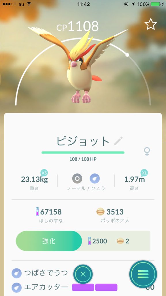 ゆきしば ドラクエウォーク A Twitter ポッポ292匹捕まえるわ D