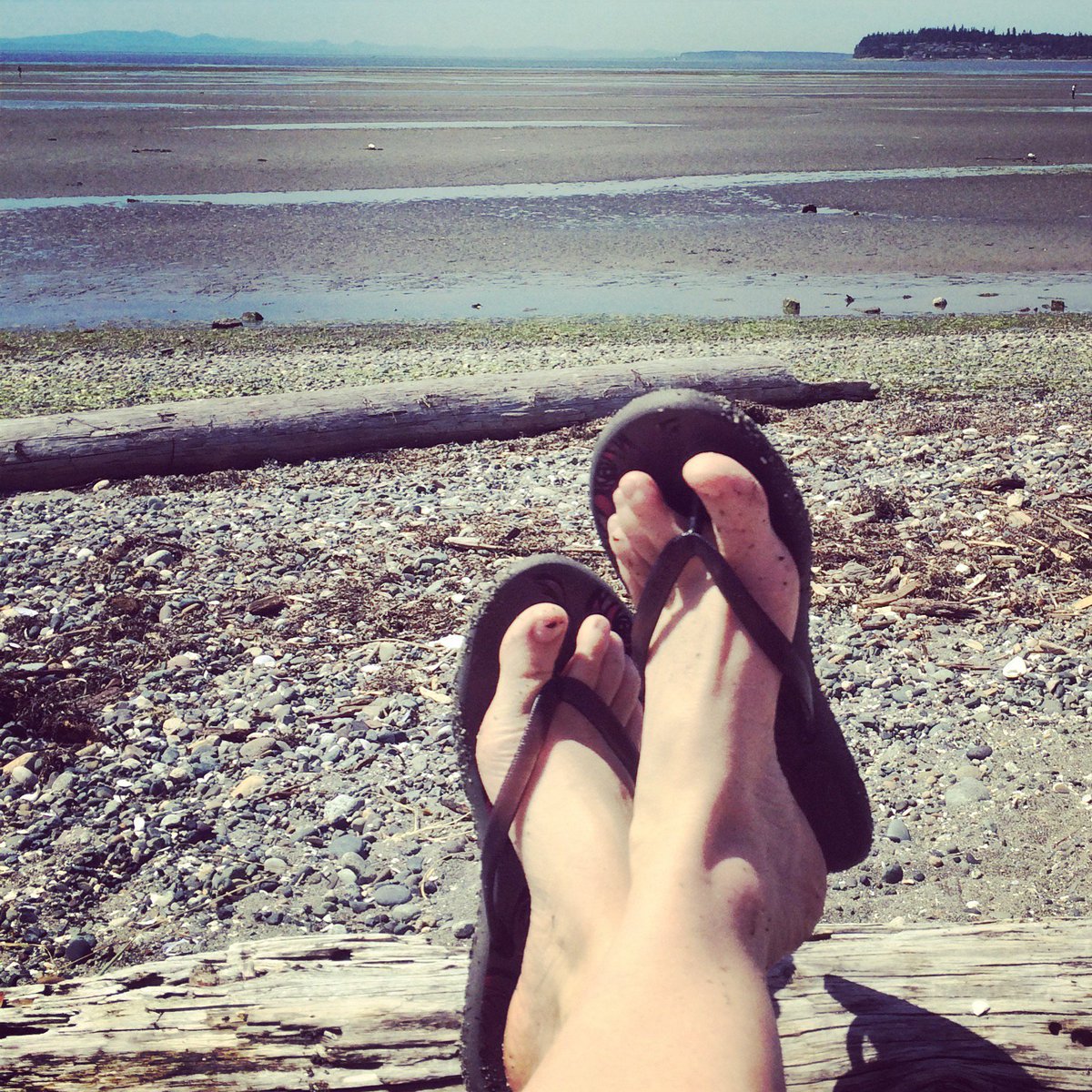 GoddessAragon's tweet photo. Rub My heels,lotion the toes &amp; then you can smell the bottoms of my amazing #feet #footworship #footfettish #feetfetish #Tribute #nailfetish https://t.co/QTbtMT7161
