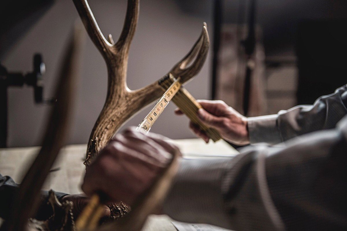 Evan_R_Williams's tweet photo. Reaping the #rewards of hard #earned #work ! 
-
-
-
#huntlete #muledeer #hoyttaggedout #bowhunting #trainwithapurpose https://t.co/P9EZo92Tw3