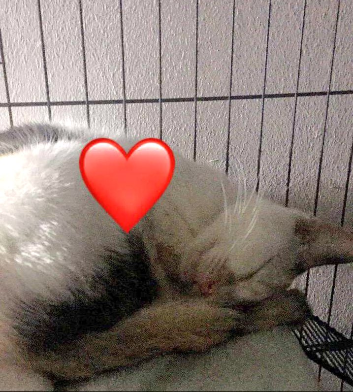 You are only an angel when you are asleep.