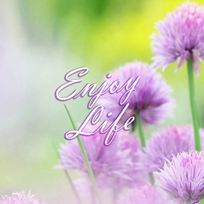 edithb7 tweet picture