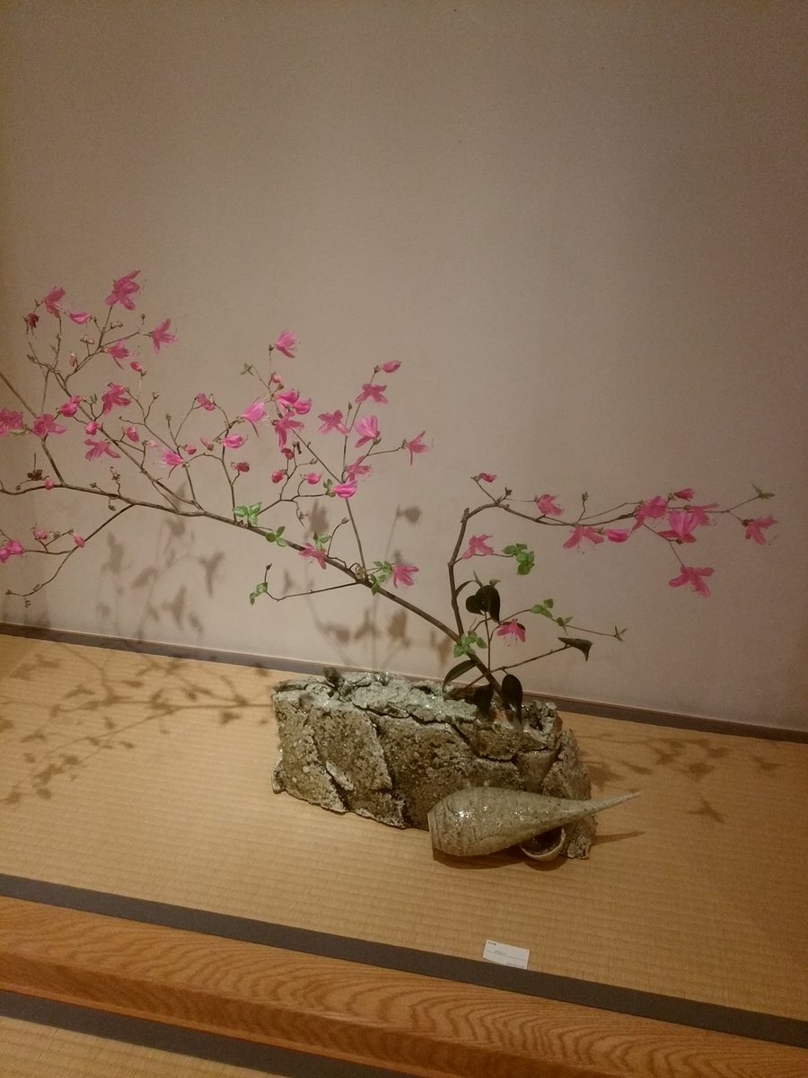 SINNN10's tweet photo. 知り合いの陶芸家さんの個展に。
こんな雰囲気に見合う家をいつか建てられたらいいな(´▽｀) https://t.co/hjI9VqvG9y
