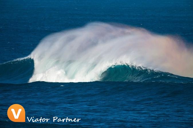 ViatorPartner's tweet image. Margaret River Full Day Wine Tour Including 2-Course Lunch!
Book today: partner.viator.com/en/13524/tours… #MargaretRiver #Australia