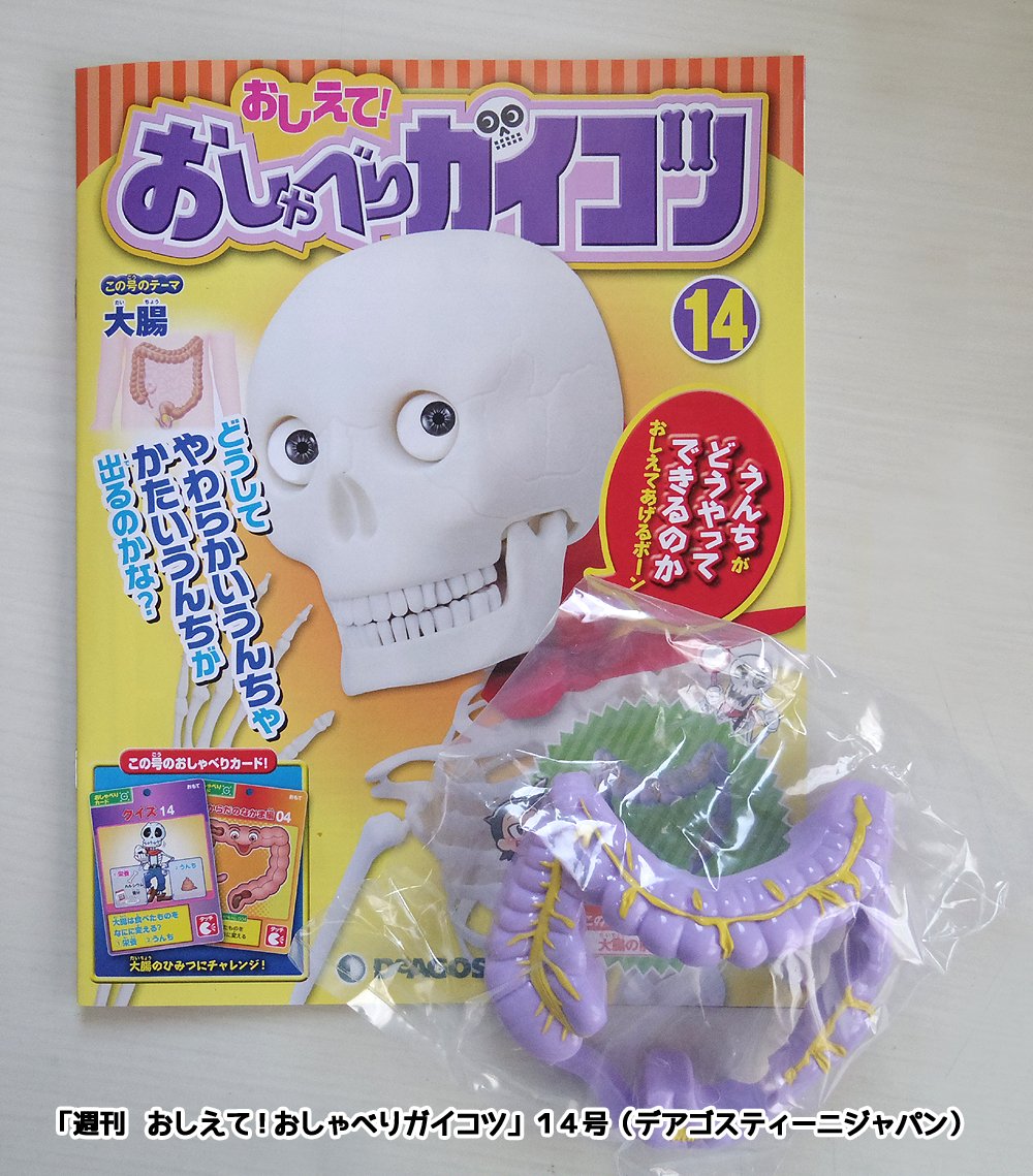 教えて！おしゃべりガイコツ　全巻　DeAGOSTINI Amazon.co.jp: 未開封 おしえておしゃべりガイコツ 創刊号 Vol1 頭部