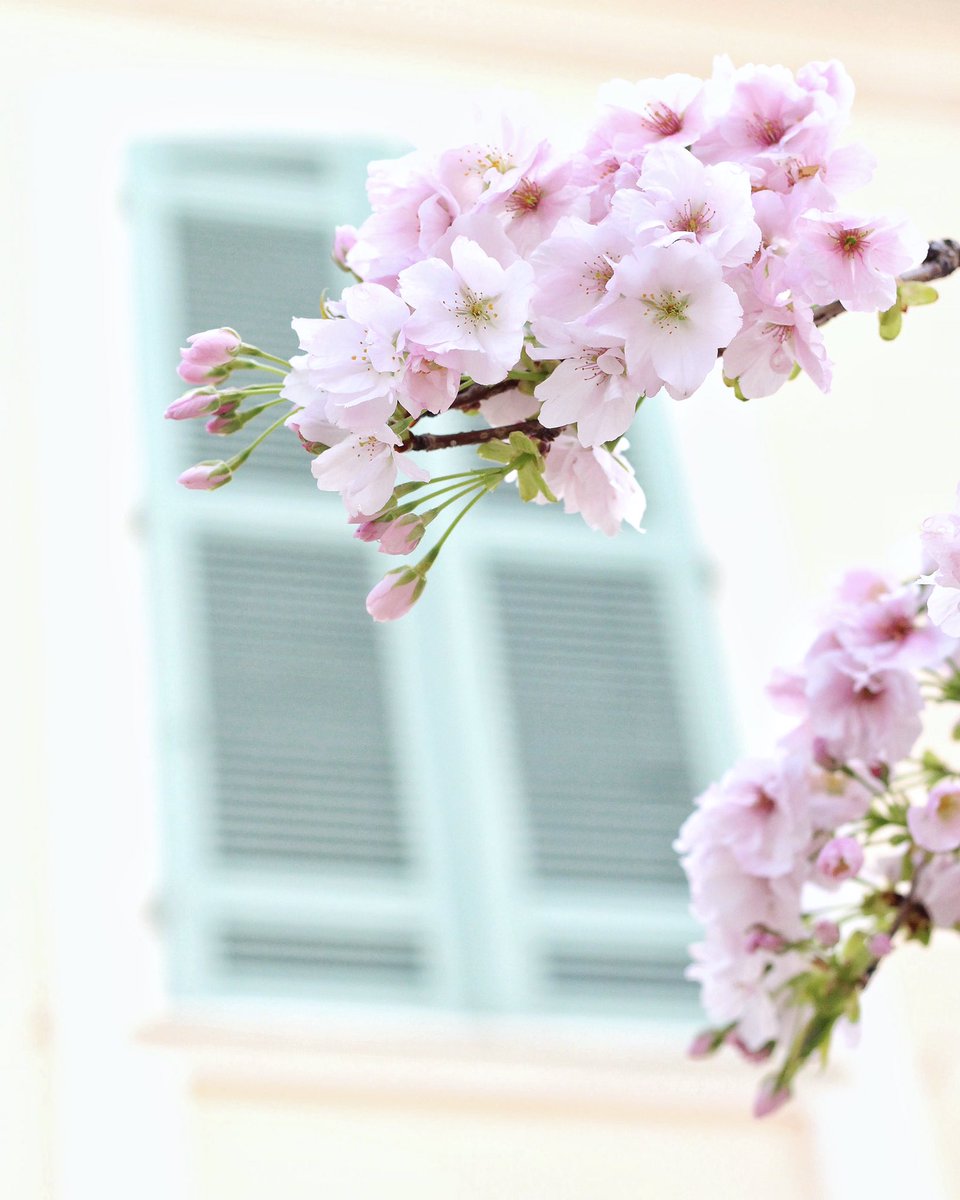 #Agen | Un petit bout de notre jolie ville pour vous souhaiter une bonne journée ! #igersagen #cityrythm