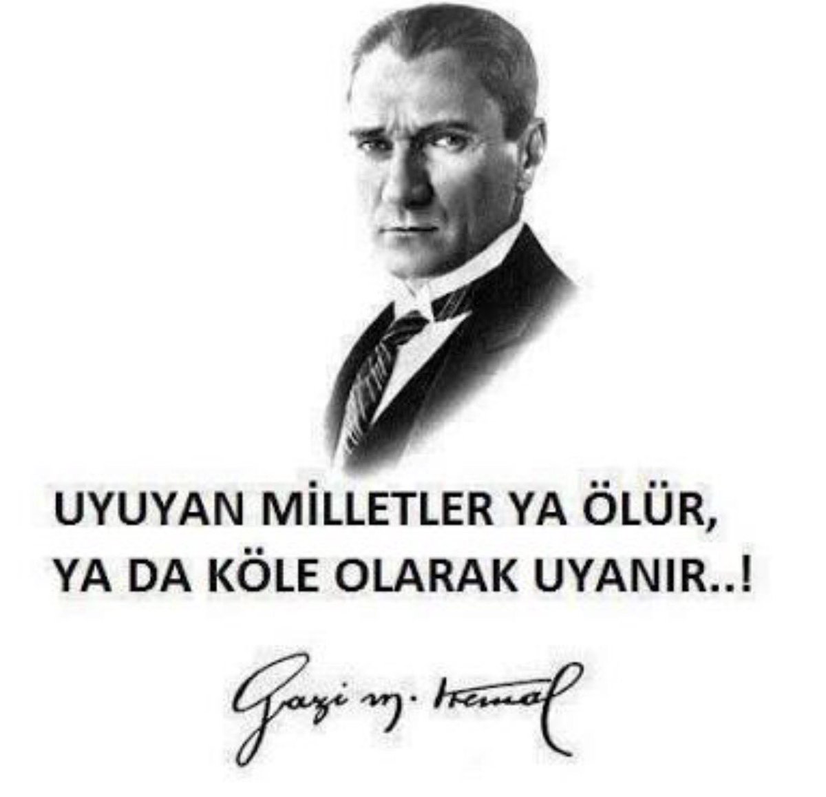 forfreedomm's tweet photo. At gözlüğünden kurtulun ve gerçekleri görün ✊️ https://t.co/yugN0WvOC6