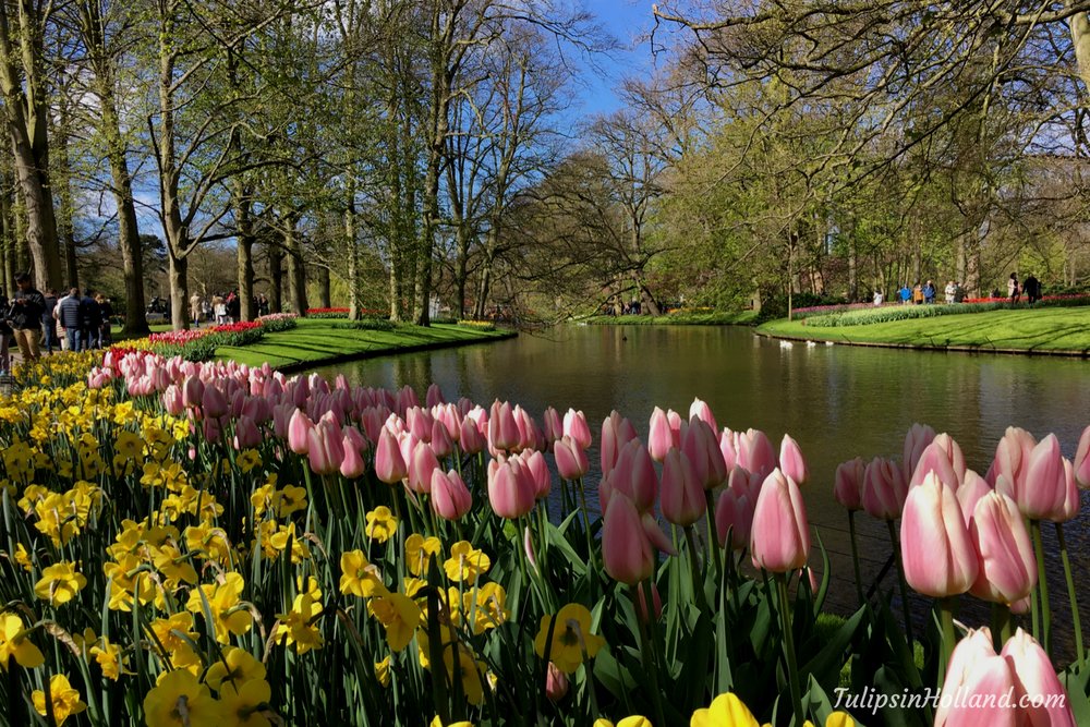 elementbbgho's tweet image. 