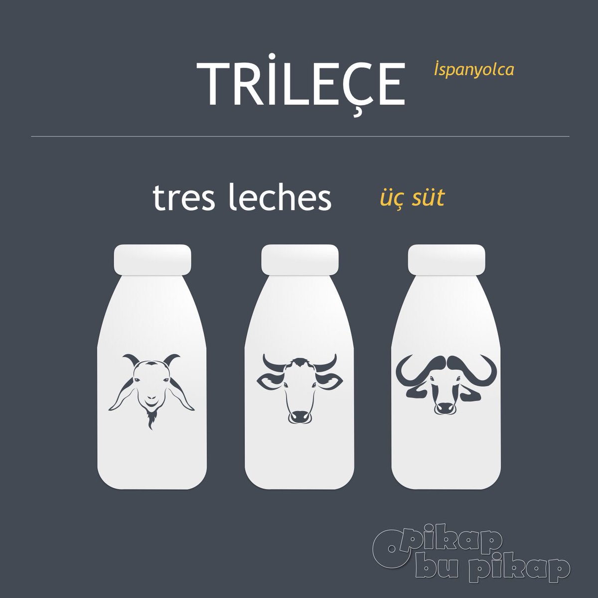 #trileçe #trilece #süt #sut #tatlı #tatli #üç #dizi #pembe #bihter #şeker #keçi #inek #manda #krema