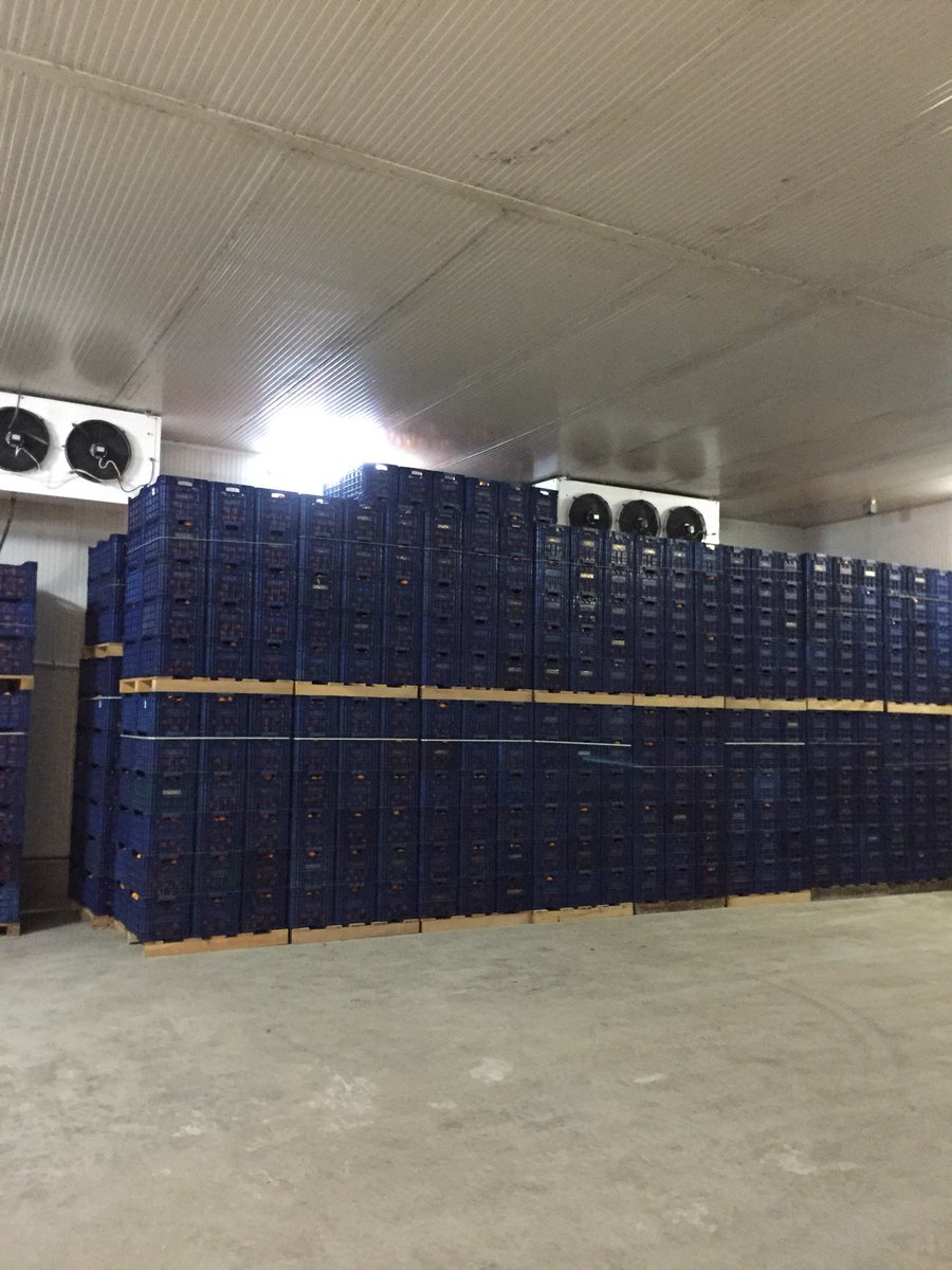 cem484848's tweet photo. I'm at Acarlar Narenciye paketleme entegre tesisi in Muğla https://t.co/i4KLiEfQrL https://t.co/iz2539jeVV