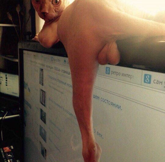 GeorgeUnda's tweet photo. Random:  Send me nudes!

Me: https://t.co/Ej52XkeD1N