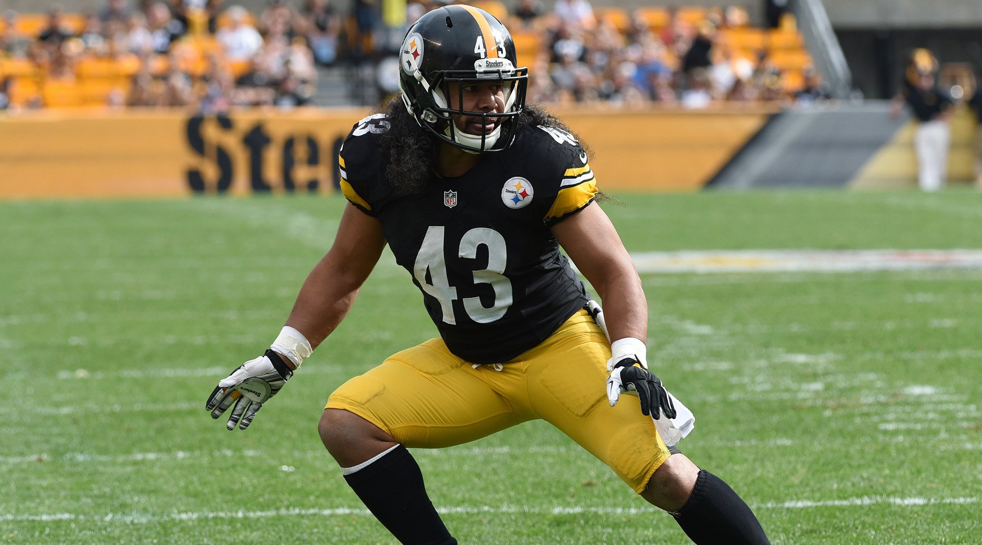 Happy Birthday to Troy Polamalu who turns 36 today! 
