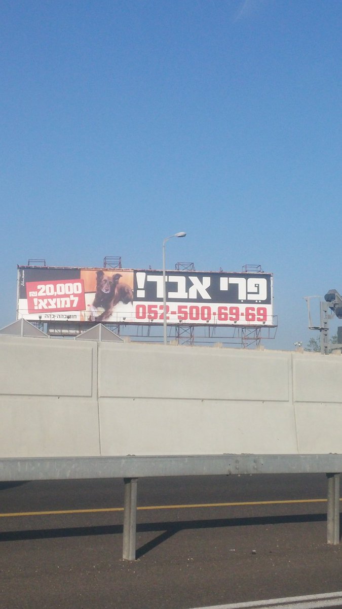 HaRav Sovel tweet media