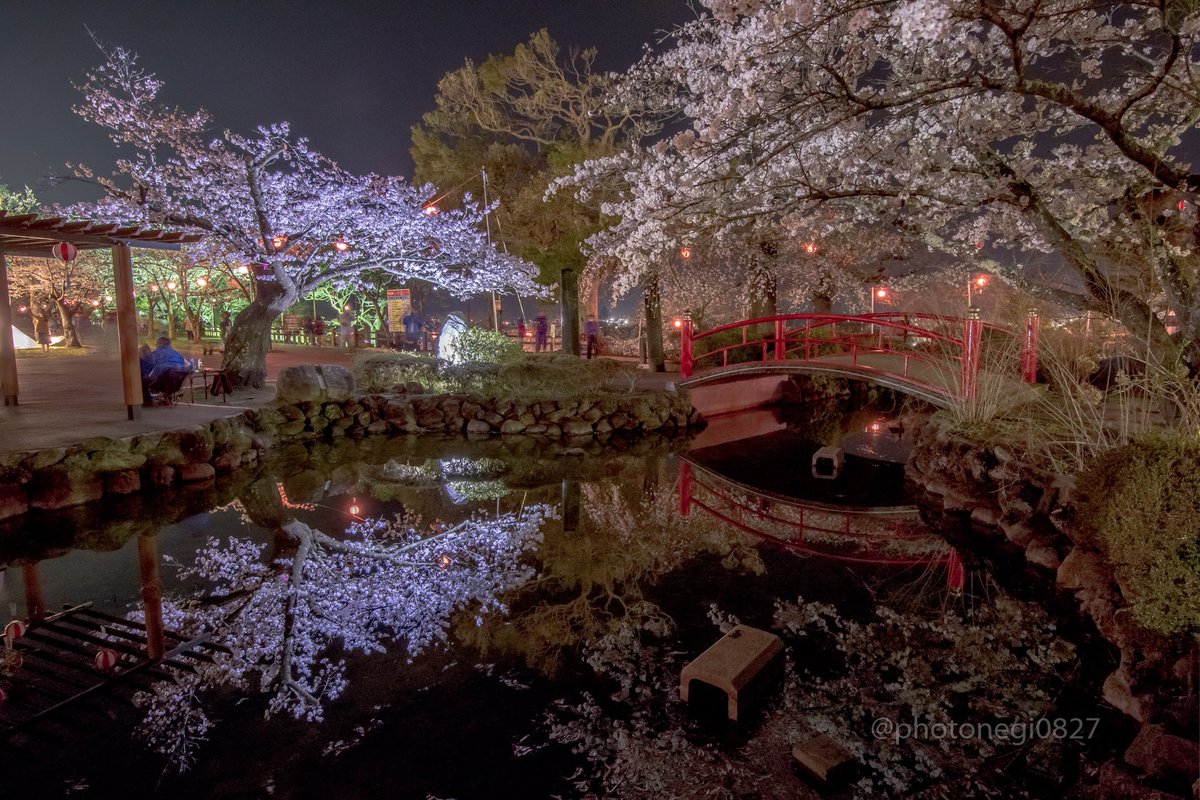 Shota K Photographer Ar Twitter 涌谷城公園内の桜見頃ですよ ライトアップも綺麗なので涌谷町へお越しください 今年もまた撮ってきた W 涌谷 桜 夜桜 ライトアップ 宮城においでよ 東北が美しい Photography 投稿写真 Photonegi07 T Shota K Photographer Ar Twitter 涌谷城公園内の桜見頃ですよ ライトアップも綺麗なので涌谷町へお越しください 今年もまた撮ってきた W 涌谷 桜 夜桜 ライトアップ 宮城においでよ 東北が美しい Photography 投稿写真 Photonegi07 T