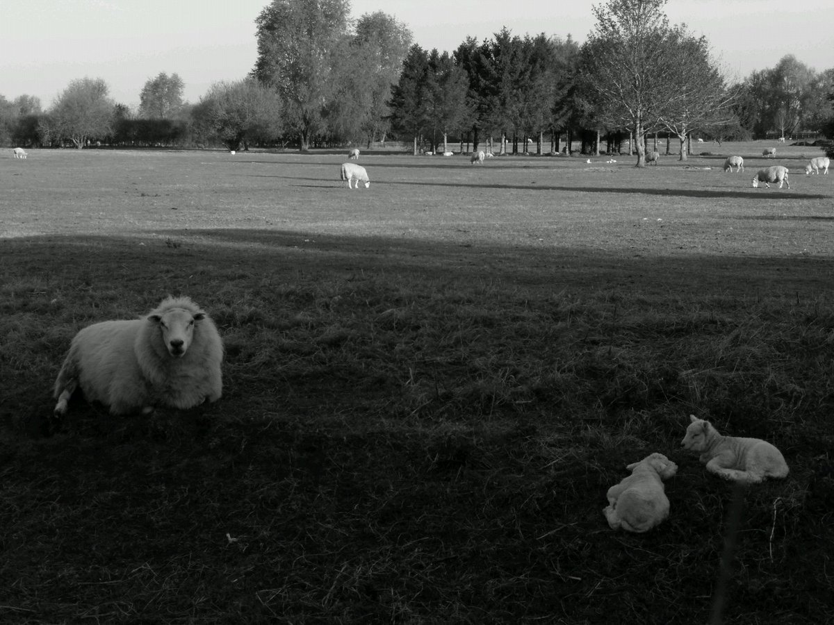 Kurt Brain tweet media