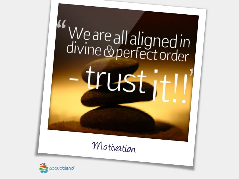 acquablend's tweet photo. We are all aligned in divine and perfect order - Trust it! #WisdomWednesday #acquablend #hydration #fruitwater #detox #water #infusedwater https://t.co/hWpB4dNsiB