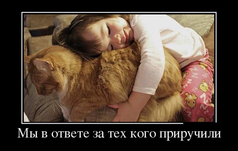 Как же не хватает кнопки «мне не нравится»... bit.ly/2pqmNGn