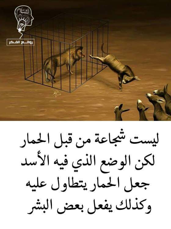 Abdulrhman Deaa (@abdulrhman_deaa) on Twitter photo 