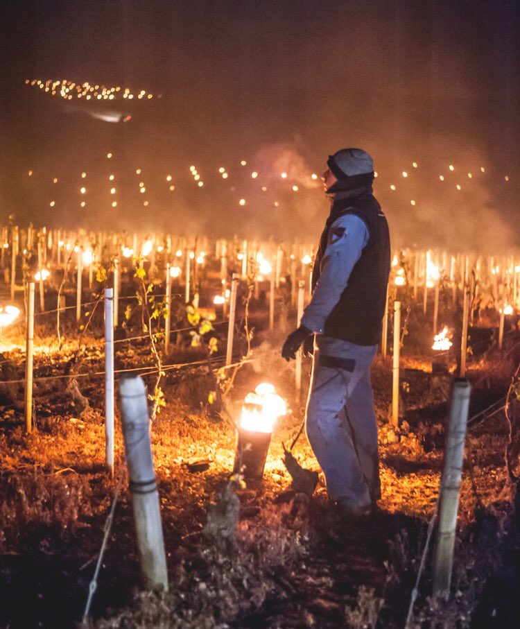 Germain Bour tweet media