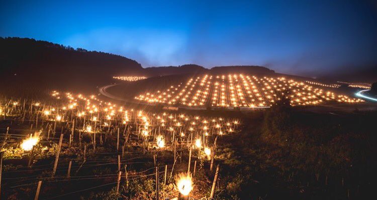 Germain Bour tweet media