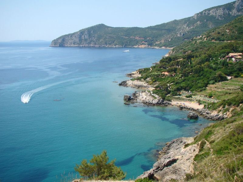 MiC_Italia tweet picture