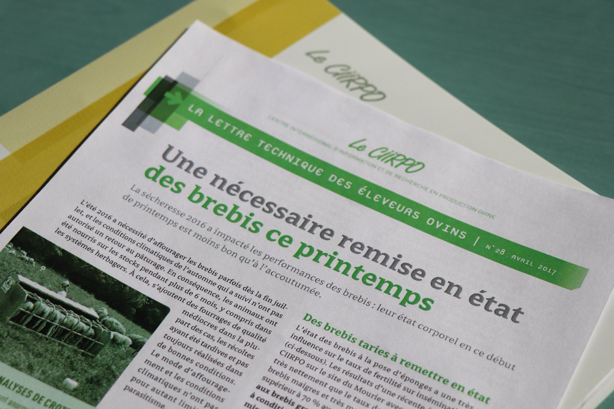 GautierIdele's tweet image. Nouvelle fiche technique du CIIRPO. De beaux agneaux avec des brebis bien nourries #robustagno #SheepNet @InstitutElevage
