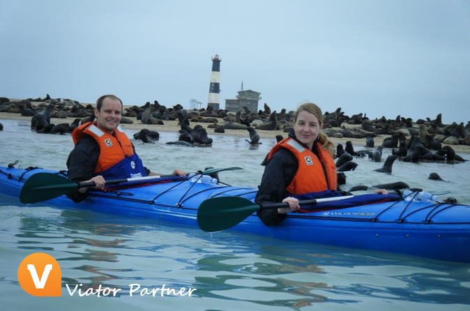 ViatorPartner's tweet image. Pelican Point Kayaking Half-Day Tour!
Book today: partner.viator.com/en/13524/tours… #WalvisBay #Namibia