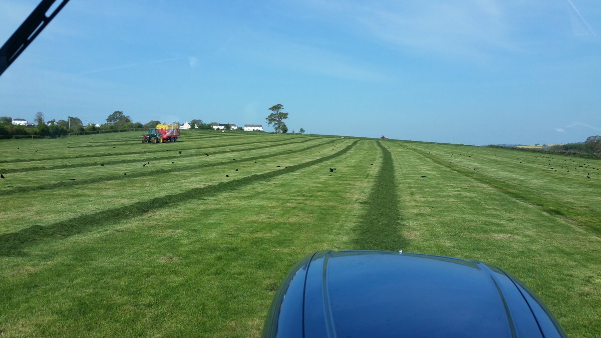 1st and 2nd loads of #silage17