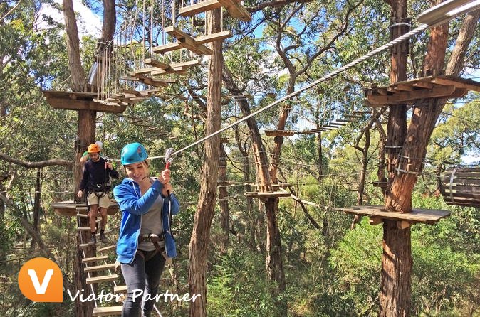 ViatorPartner's tweet image. Mornington Peninsula Enchanted Adventure Garden Ziplining and Canopy Tour!
Book today: partner.viator.com/en/13524/tours… #ArthursSeat #Australia