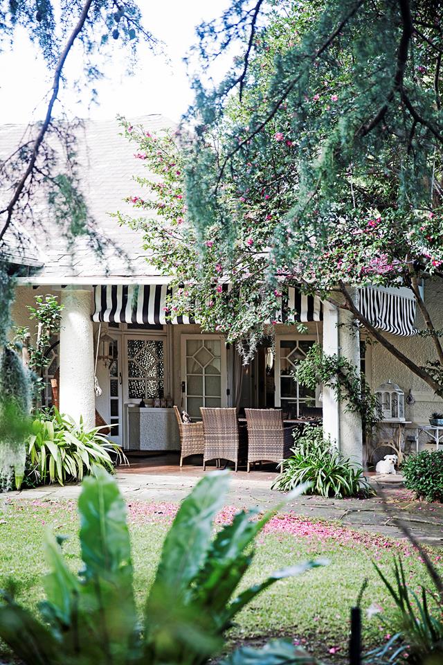 This cottage-style garden on Sydney's North Shore looks like something out of a fairy tale! Take a wander: oak.ctx.ly/r/5l0uq