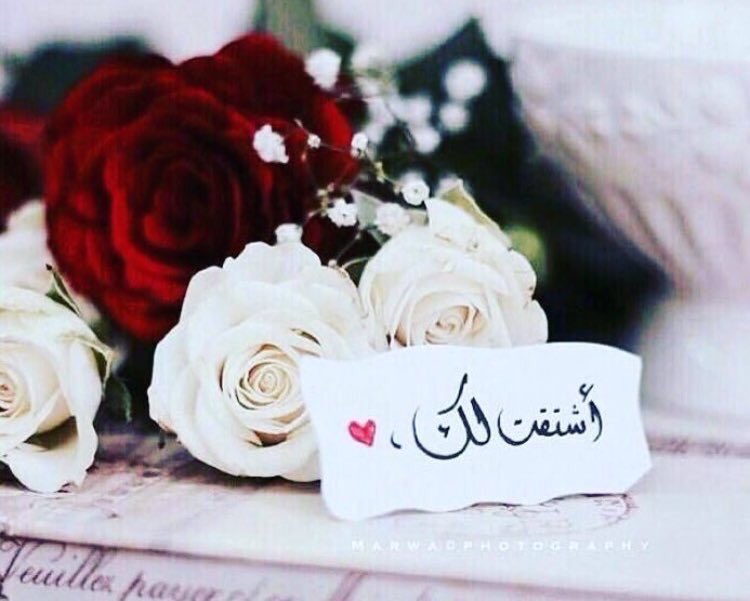 amyr__s's tweet photo. كأن للشوق انفاس!! لايشمها الا العاشقين 💋 https://t.co/cVEzlQahyf